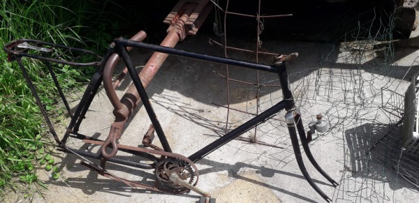 WhatsApp Image 2021-07-03 at 17.32.03.jpeg