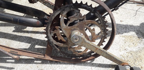 WhatsApp Image 2021-07-03 at 17.32.04.jpeg