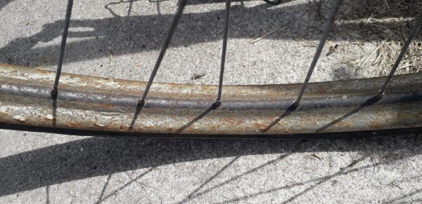 WhatsApp Image 2021-07-03 at 17.32.04(2).jpeg