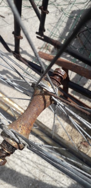 WhatsApp Image 2021-07-03 at 17.32.05.jpeg