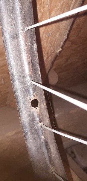 WhatsApp Image 2021-07-03 at 21.21.18(2).jpeg