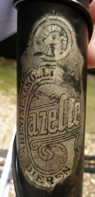 gazelle transfer.jpg