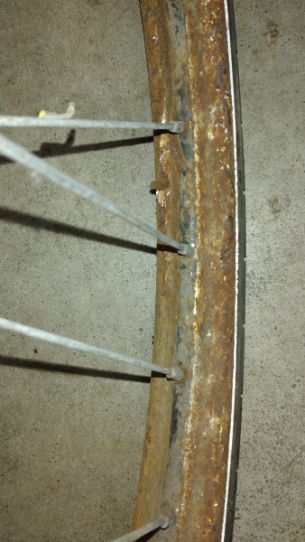 WhatsApp Image 2021-10-18 at 20.05.03(3).jpeg