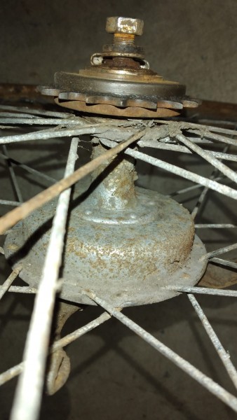 WhatsApp Image 2021-10-18 at 20.05.03(4).jpeg