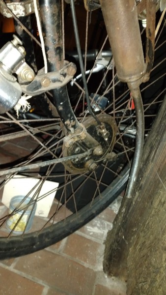 WhatsApp Image 2021-10-30 at 21.43.47.jpeg