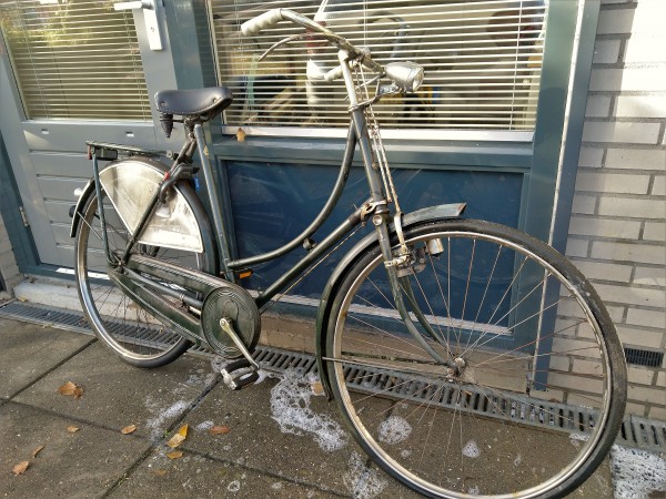 IMG_20211121_115335 (2).jpg