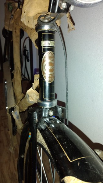 WhatsApp Image 2021-11-26 at 17.15.59(1).jpeg