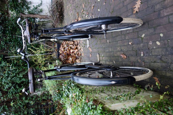 beide 28 inch frames