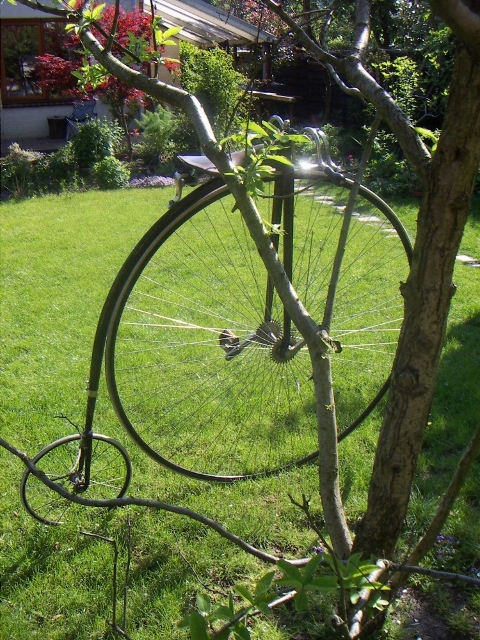 S en N hoge bi (480x640).jpg