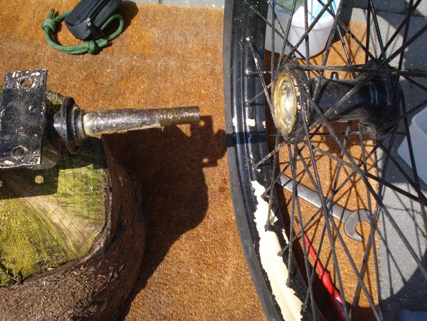 Tripo - 052 klein.jpg