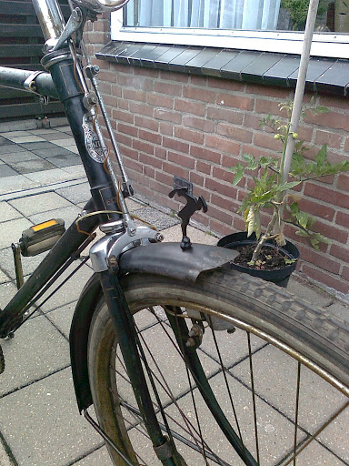 Gazelle met DIYer Gazelle, gemaakt door Elibert.