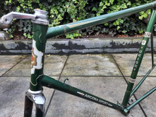 WhatsApp Image 2023-12-29 at 15.56.15.jpeg