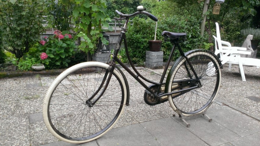 WP_20130907_001 (Medium) (Small).jpg