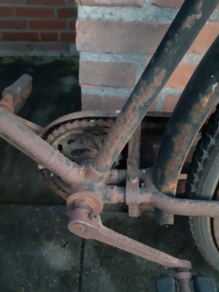 Afbeelding van WhatsApp op 2024-05-03 om 21.31.02_dd54c6d1.jpg