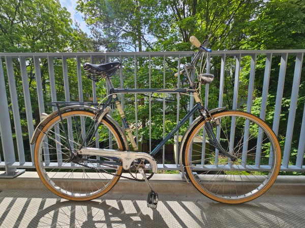 Afbeelding van WhatsApp op 2024-05-09 om 11.45.38_f44f134c.jpg