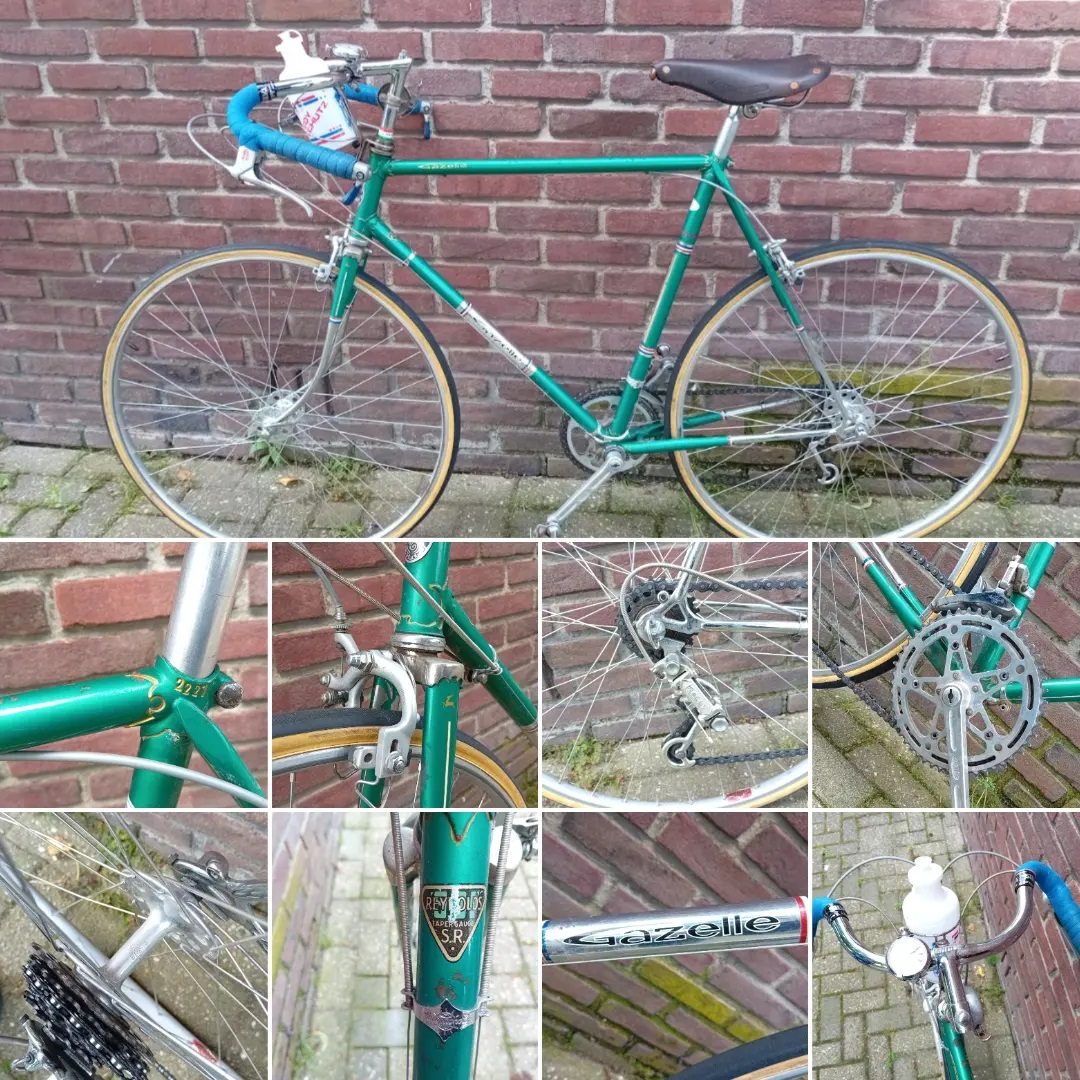 Layout Gazelle race green.jpg