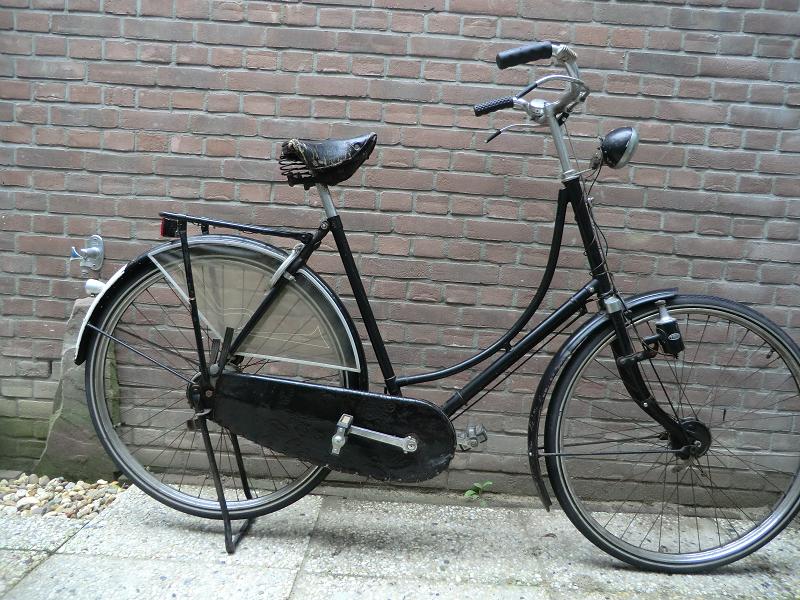 gazelle opoe klein.JPG