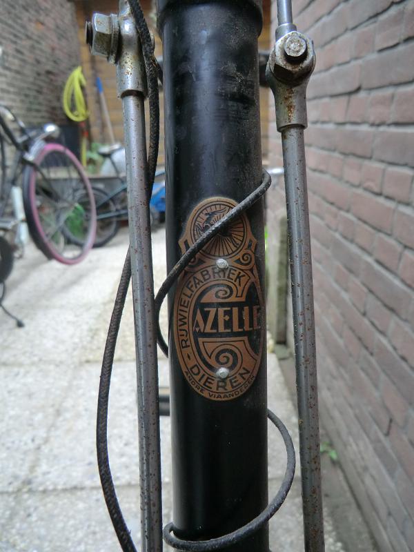 gazelle opoe (1) klein.JPG