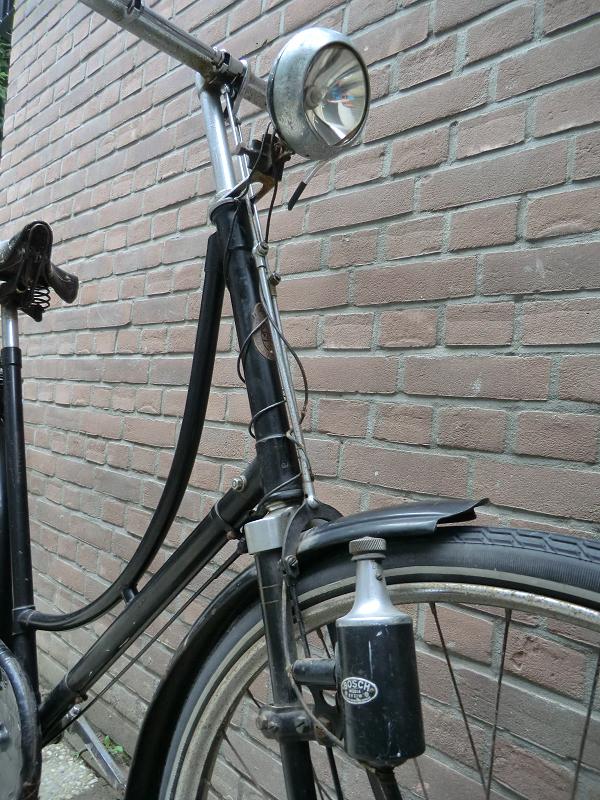 gazelle opoe (2) klein.JPG