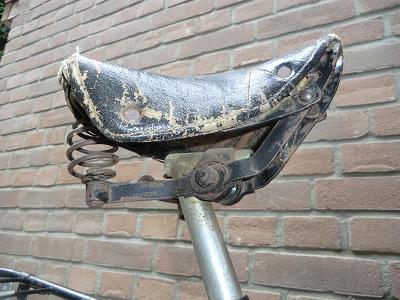 gazelle opoe (3) klein.JPG