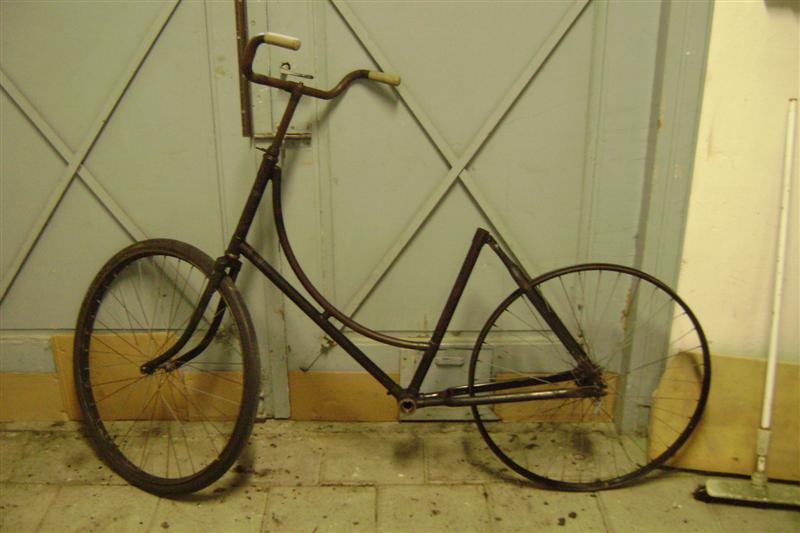 DSC08690 (Medium).JPG