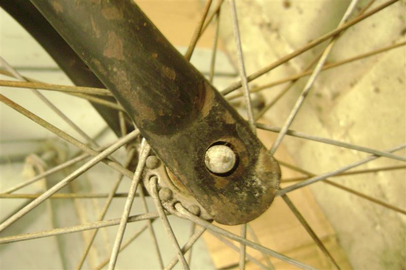 DSC08691 (Medium).JPG