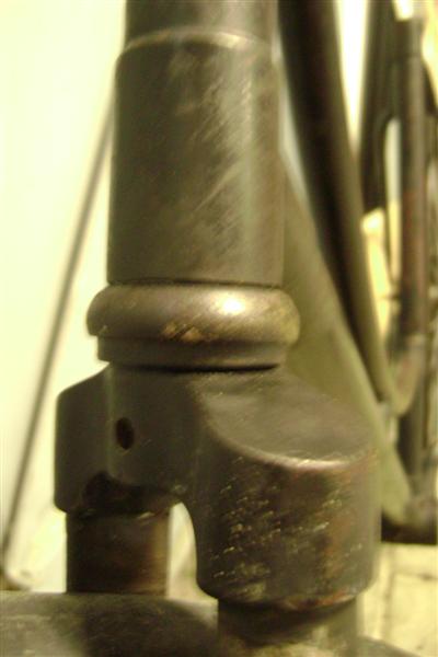 DSC08694 (Medium).JPG