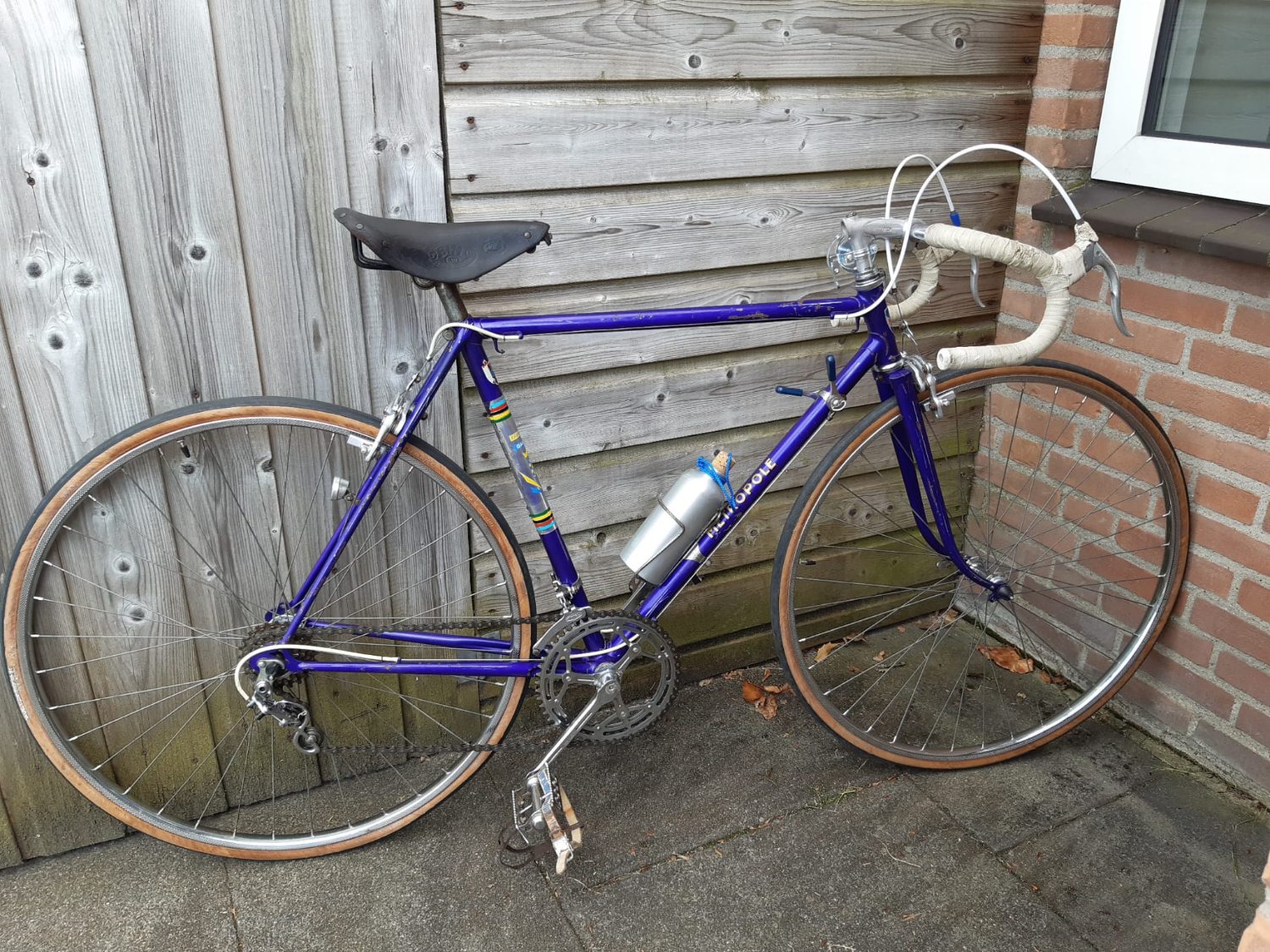 Afbeelding van WhatsApp op 2024-06-24 om 16.52.30_4557bff3.jpg