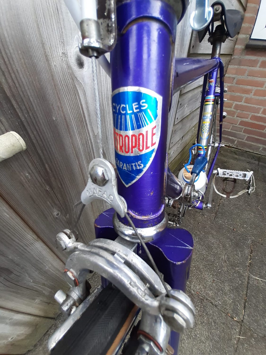 Afbeelding van WhatsApp op 2024-06-24 om 16.53.46_37f604be.jpg