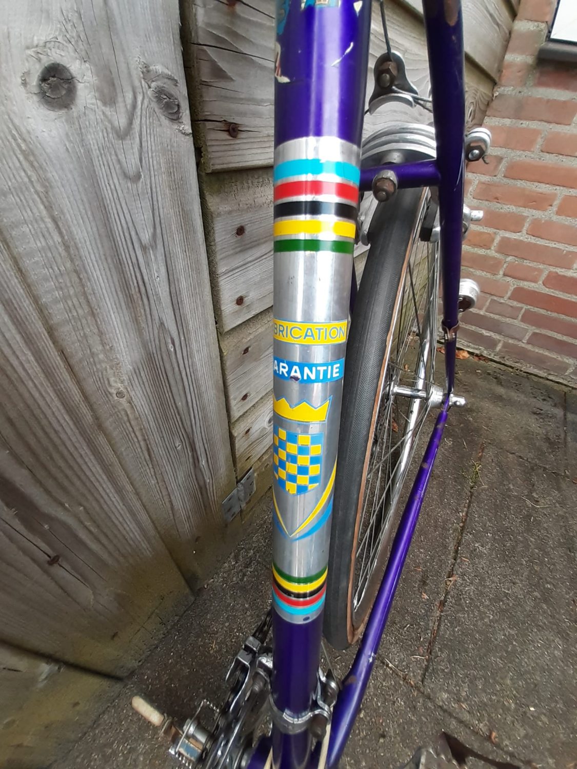 Afbeelding van WhatsApp op 2024-06-24 om 16.53.49_eceb4c31.jpg