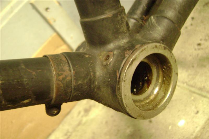 DSC08698 (Medium).JPG