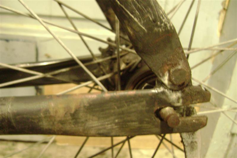 DSC08699 (Medium).JPG