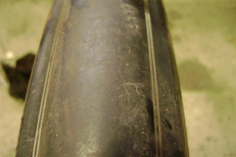 DSC08703 (Medium).JPG