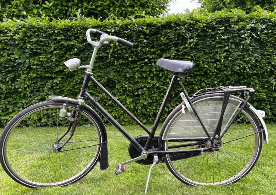 Screenshot 2024-07-03 8.40.25 PM.png