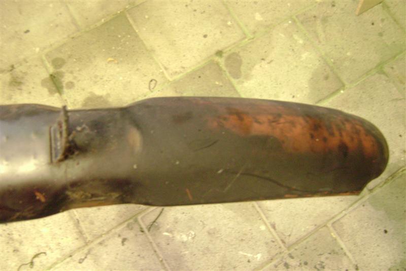 DSC08705 (Medium).JPG