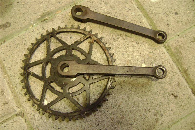 DSC08706 (Medium).JPG