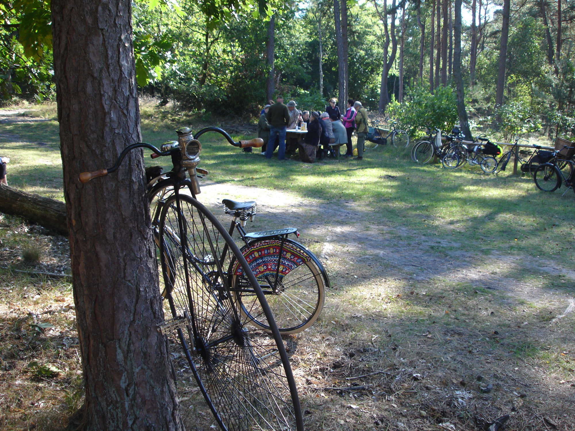 Harderwijk 29-10-2013 b.jpg