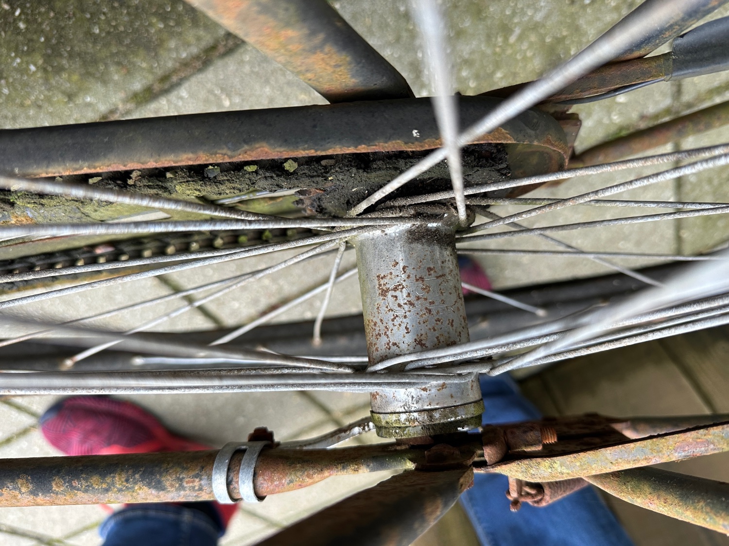 Novo made in Sweden.JPG