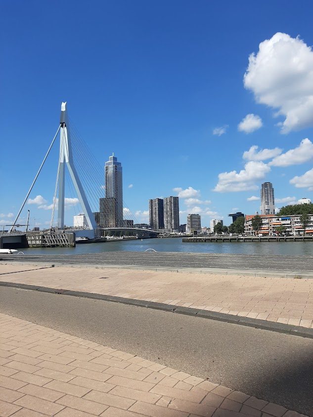 Rotterdam Erasmusbrug.jpg