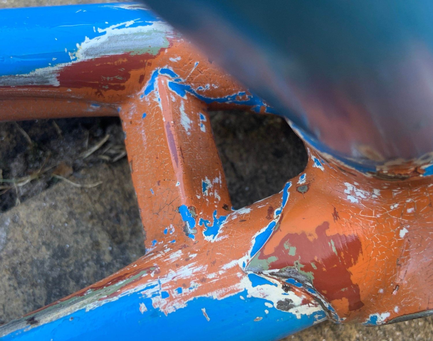 Presto roodbruin 1.jpg