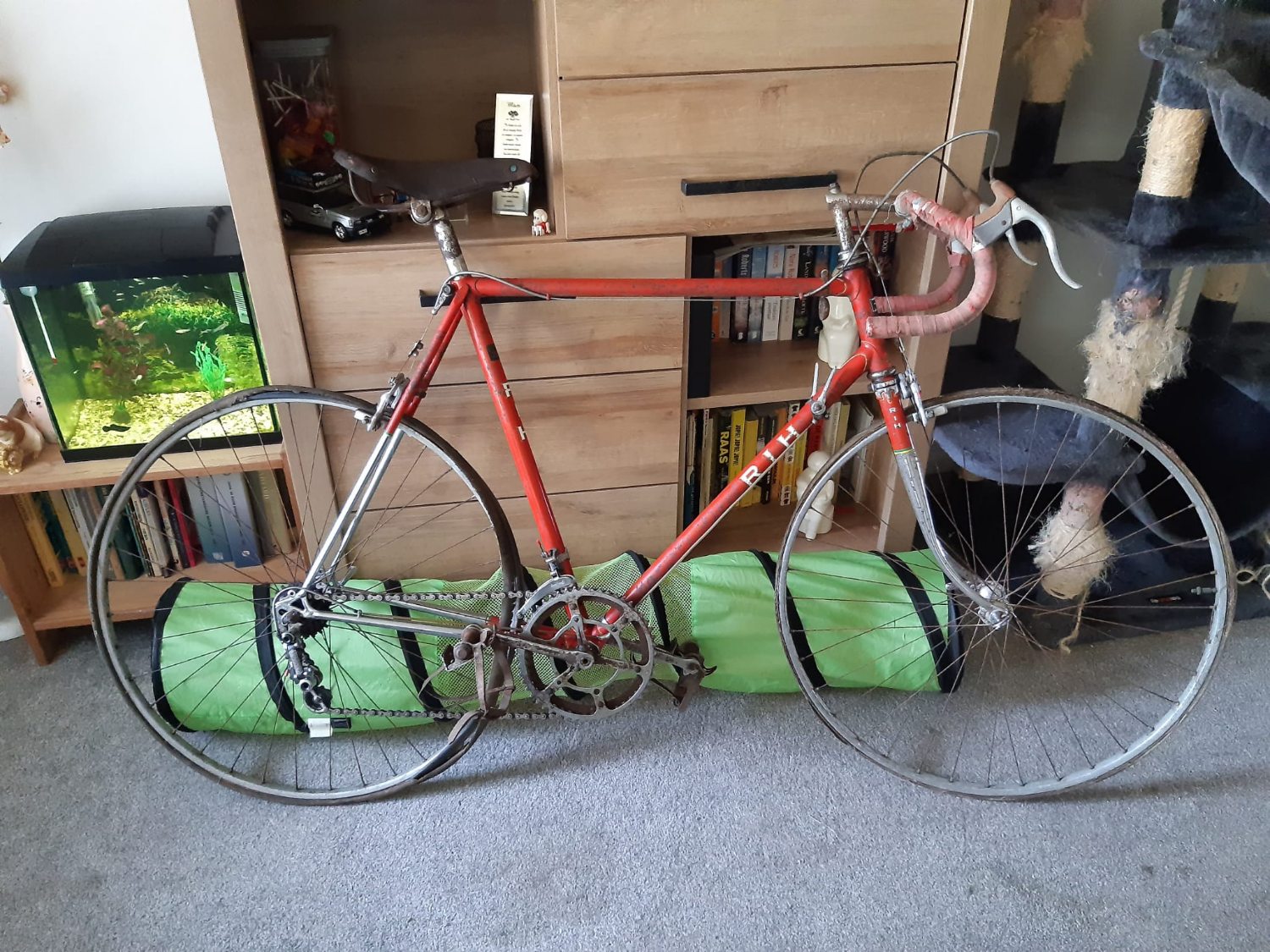 Afbeelding van WhatsApp op 2024-08-31 om 17.29.21_d155171b.jpg