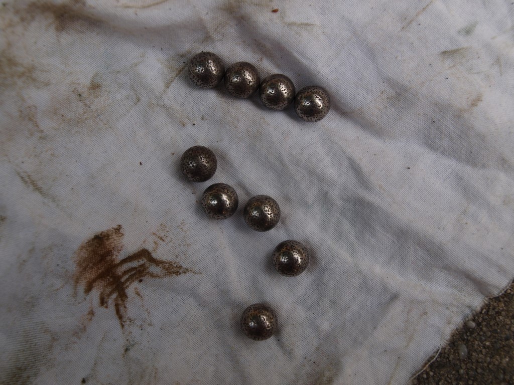 P7177710 (Medium).JPG