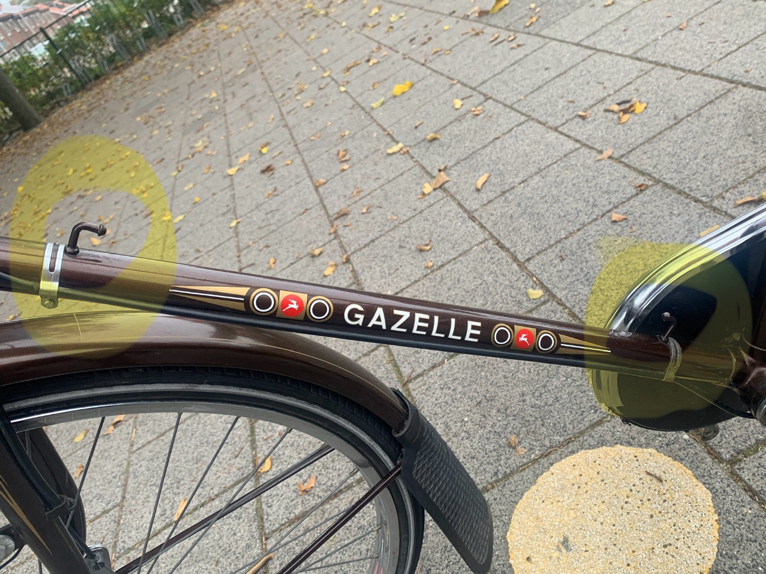 Haakjes zijn zichtbare in gele cirkels