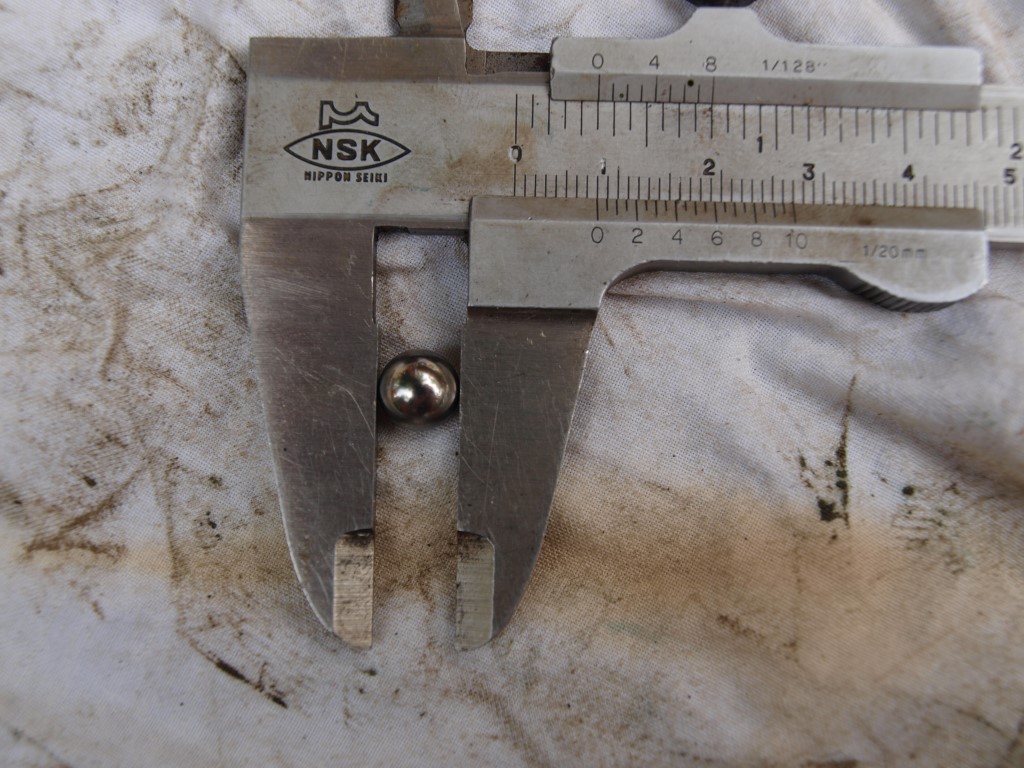 P7177711 (Medium).JPG