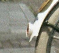 en de uitsnede: deze zoek ik!!