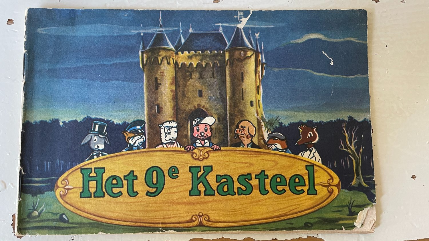 Het 9e kasteel voorblad.jpg
