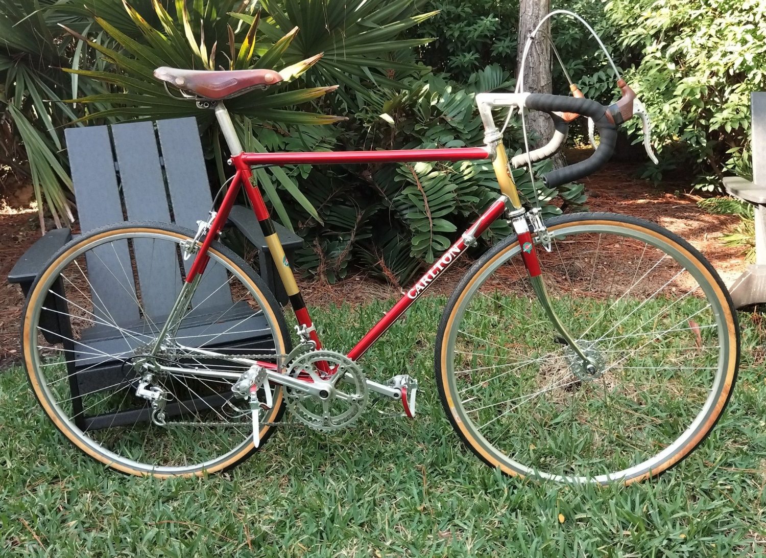 Carlton Giro d'Italia.jpg