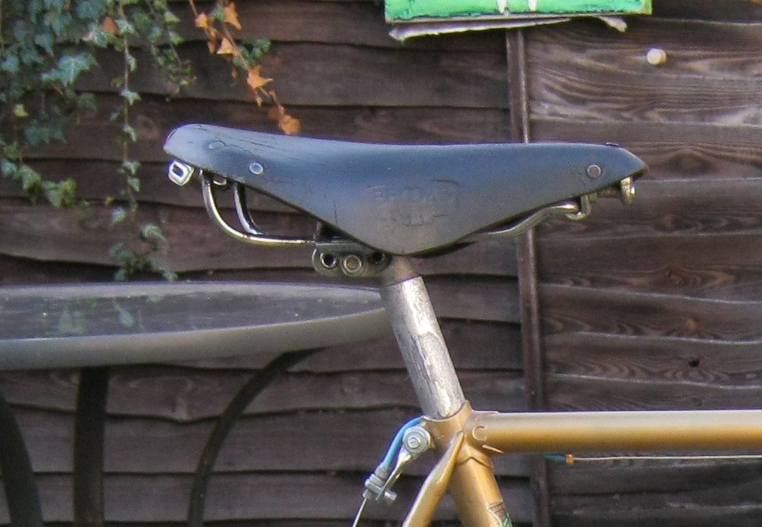 kopie zadelpen (2).JPG