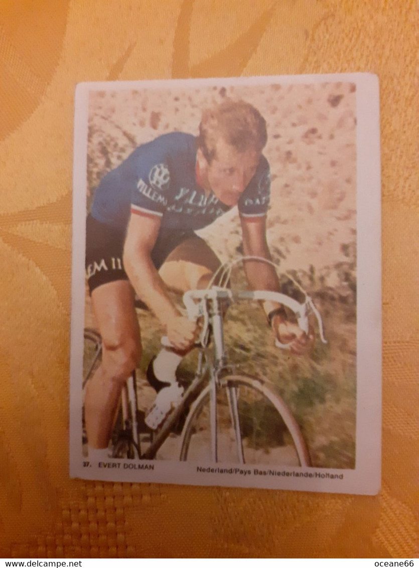 wout verhoeven dolman.jpg