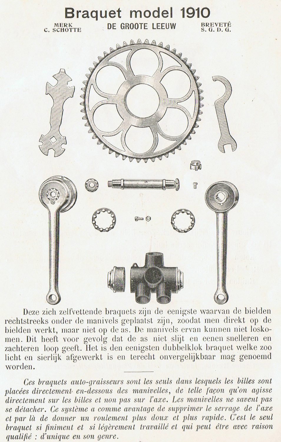 Zichzelf vettend bracket=.jpg